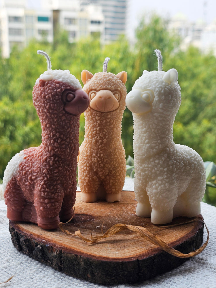 Llama-mia