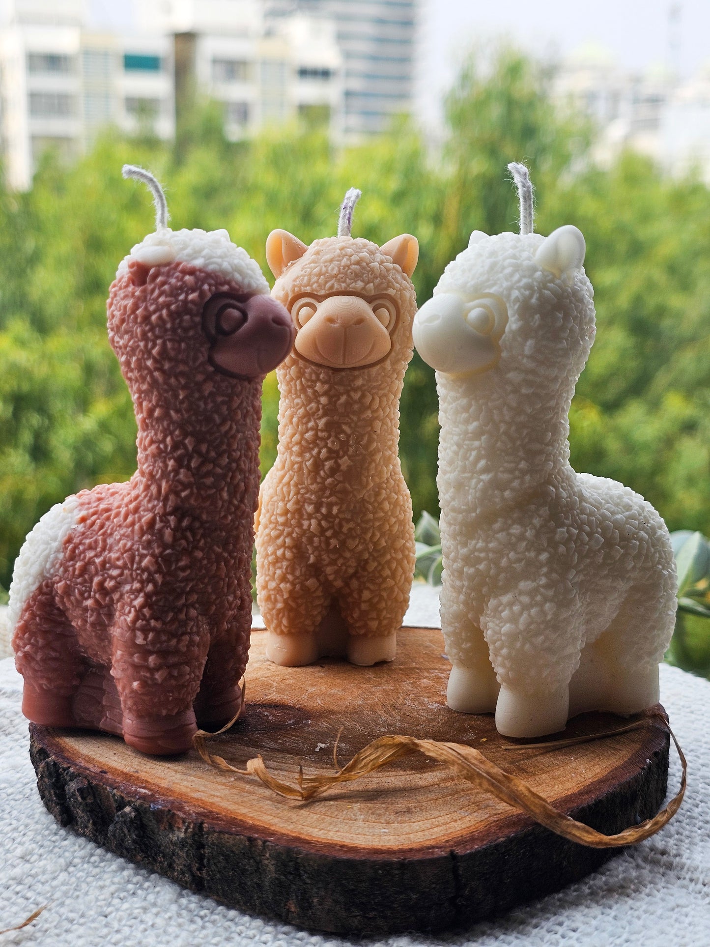 Lama-mia! - Brown and White