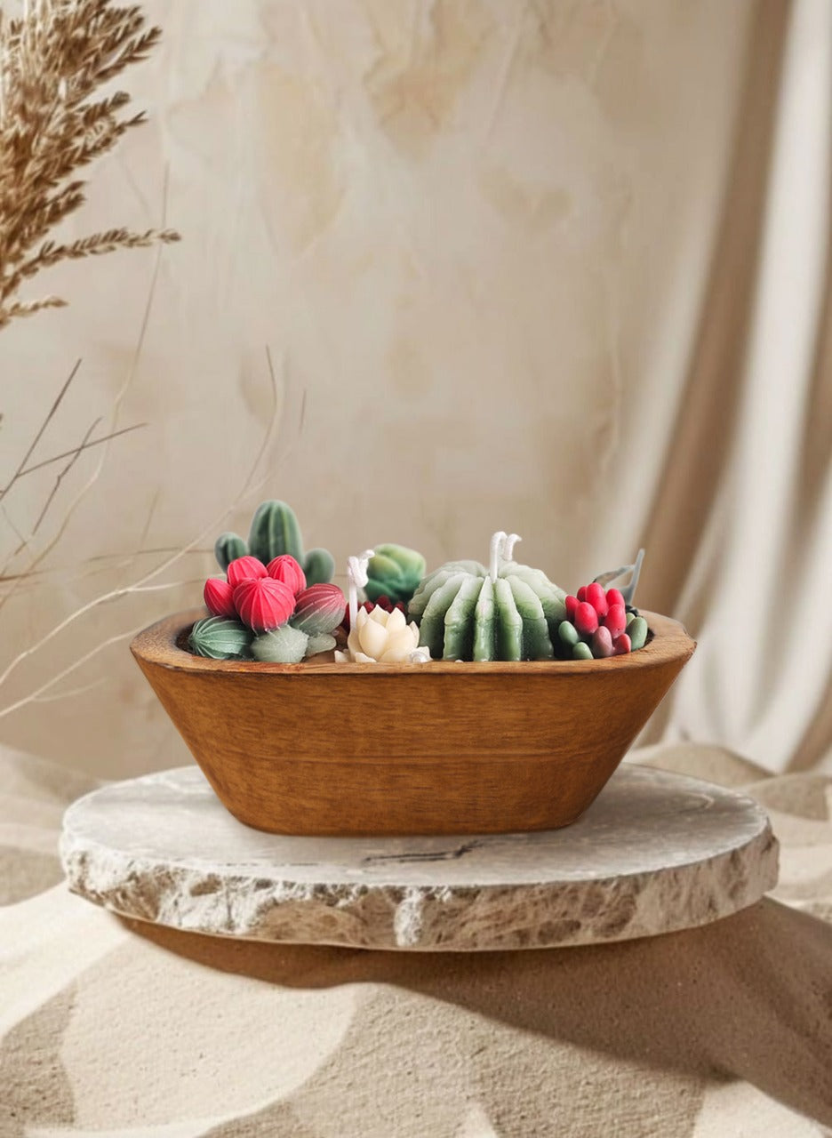 Cactus Garden